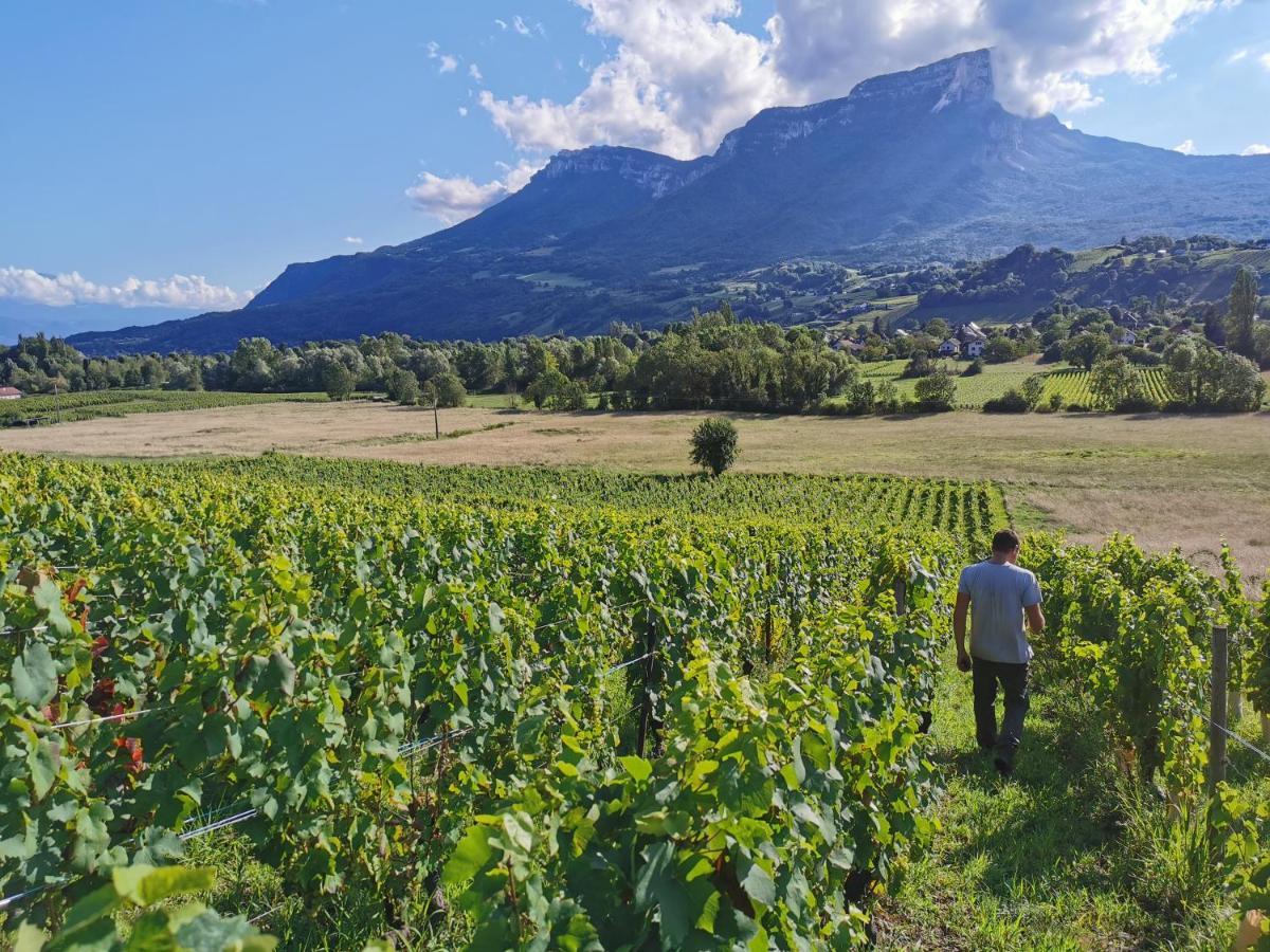 Domaine Des Granges Longes Lägenhet Les Marches Exteriör bild